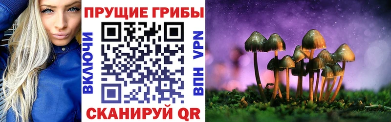 Галлюциногенные грибы прущие грибы  Медынь 